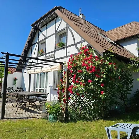 Large, Comfortable Near The