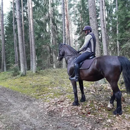 Large, Comfortable Near The Pluski